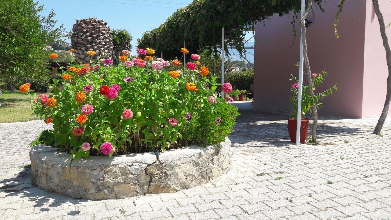 Jerry Apartments سفوروناتا المظهر الخارجي الصورة